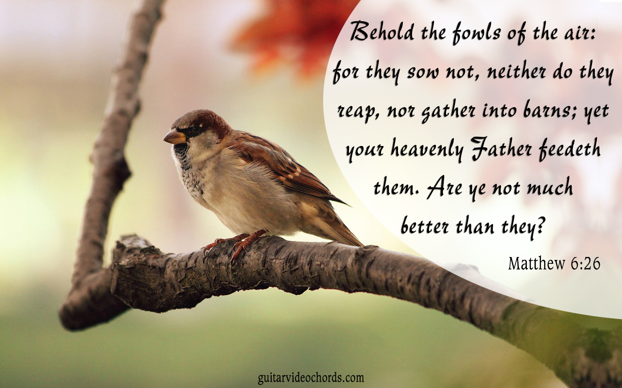 Matthew 6:26 Bible Art Pictures, Images, Inspirational